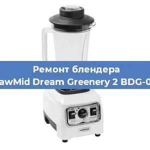 Замена щеток на блендере RawMid Dream Greenery 2 BDG-03 в Белгороде